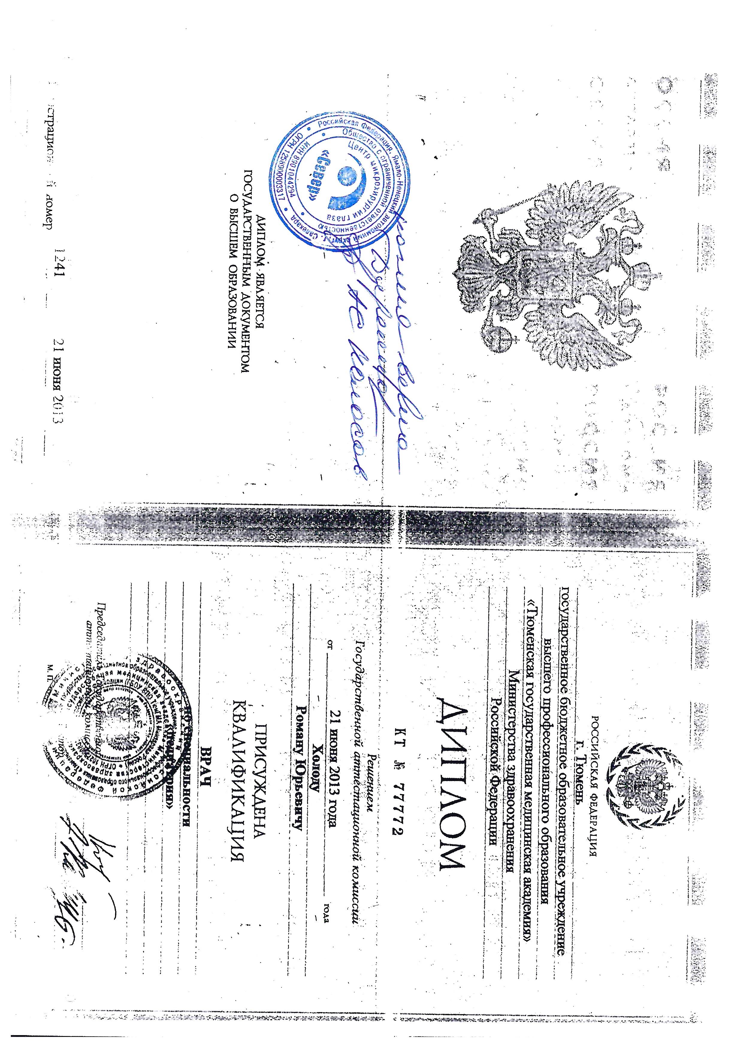 Диплом — Холод Р. Ю.