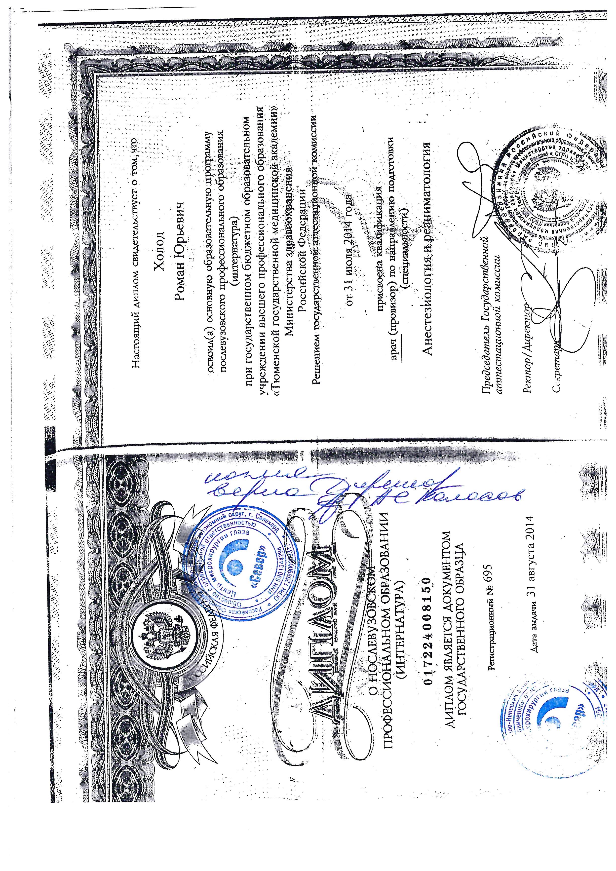 Диплом интернатуры — Холод Р. Ю.